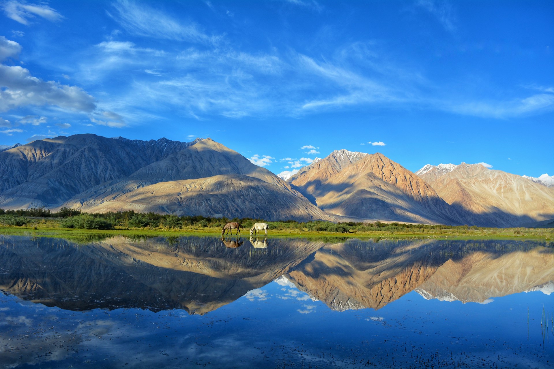 Mirror-like high-altitude lake reflecting Ladakh mountains under a vivid blue sky